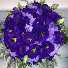 fwthumb004 (13).jpg